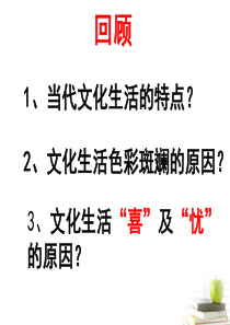 高中政治必修3《在文化生活中选择》