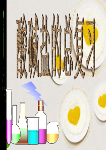 九年级化学下册 酸碱盐的总复习课件 人教新课标版