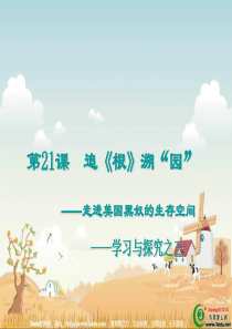 九年级历史走进美国黑奴的生存空间1