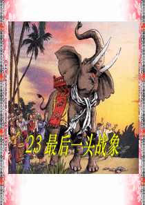 最后一头战象PPT(完整版)