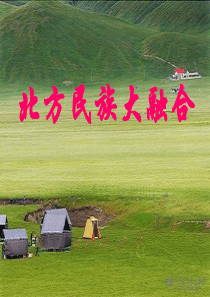 人教版七年级历史上册第20课《北方民族大融合》课件[1]