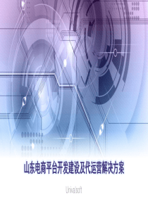 山东电商平台开发建设及代运营解决方案