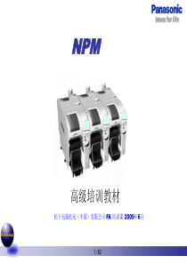 NPM高级培训教材v1.0-20090616