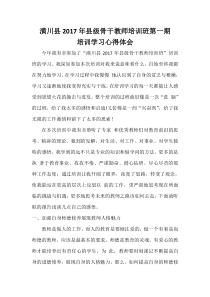骨干教师心得体会