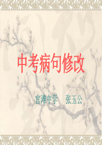 中考语文训练之病句修改