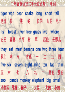 三年级英语下册复习课件
