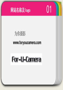 网站设计策划方案