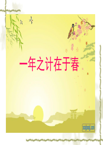 优秀主题班会一年之计在于春主题班会