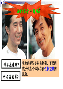 基因突变基因重组(-公开课)