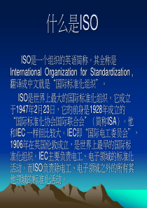 ISO培训教材_图文ppt