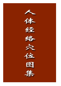 人体经络穴位图集