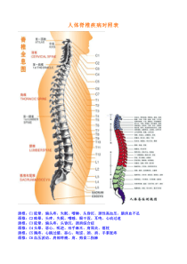 人体脊椎疾病对照表