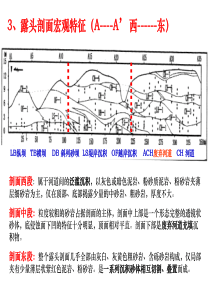 大同辫状河露头地质考察