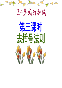 3[1].4整式的加减第三课时去括号法则