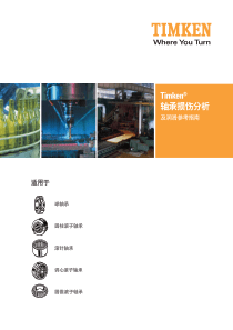 轴承损伤分析