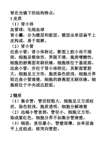 肾在光镜下的特点