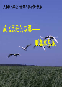 发挥联想与想象(定)