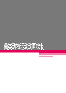 禽类动物运动动画绘制-共45页