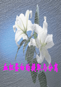 血红蛋白的提取和分离(优质课)总结