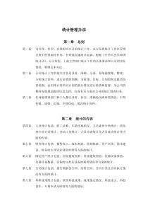 统计管理办法DOC