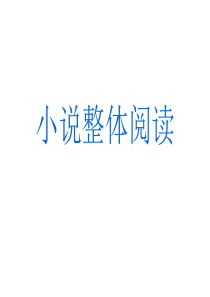 高考小说阅读整体阅读课件