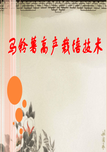 马铃薯高产栽培技术定稿