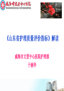 护理质量评价指标威海讲课