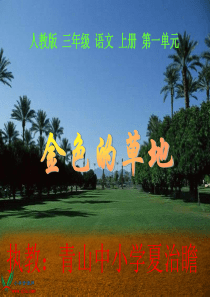 《金色的草地》(好) - 副本