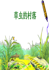 3.草虫的村落课件