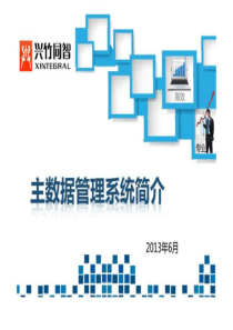 主数据管理系统简介-PPT文档资料