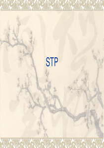 第9章 STP市场细分