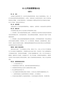 XX公司流程管理办法(试行)
