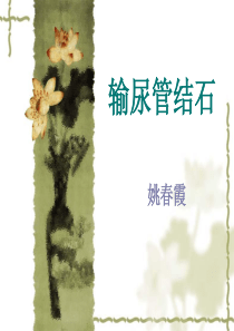 输尿管结石讲课定稿版-课件(PPT演示)