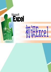 中学信息技术-_《初识Excel》PPT课件