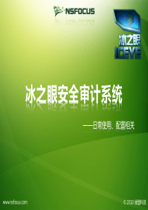绿盟冰之眼安全审计系统