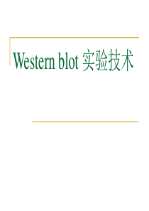 Western-blot-技术-详细版