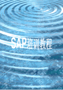 SAP培训教材