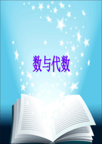 《数与代数》PPT