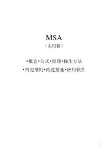 MSA(实用篇)