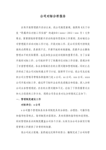 公司对标分析报告