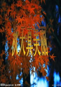 大班语言：秋天真美丽(散文诗)