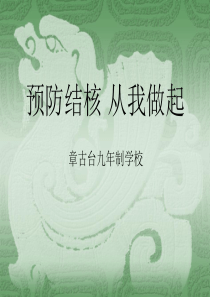 结核病的防治知识PPT(学生版)