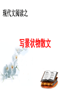 现代文阅读之写景状物散文