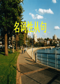 {精品}名词性从句课件