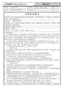 过程审核报告