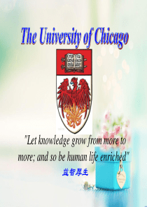 芝加哥大学