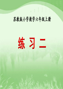 新苏教版六年级数学《练习二》教学课件
