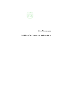 Risk management Guidelines for Commercial Bank