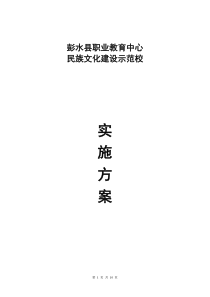 民族文化示范校方案