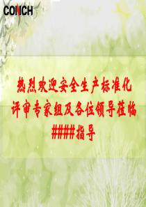 安全生产标准化汇报材料(定稿版)